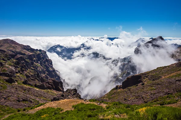 Trekking en la isla de Madeira — Foto de Stock