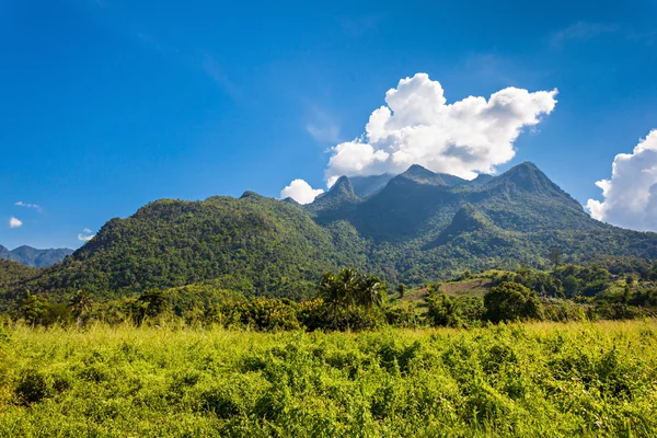 Doi Luang Chiang Dao — Stock Photo, Image