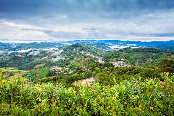 Mae Salong — Stock Photo, Image