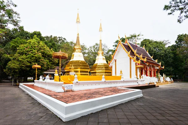 Phra That Doi Tung — Stock Photo, Image