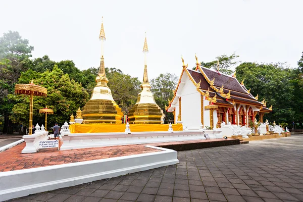 Phra den Doi tung — Stockfoto