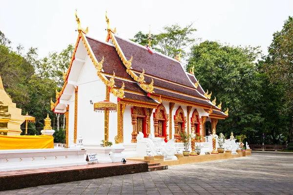 Phra dieses Doi tung — Stockfoto