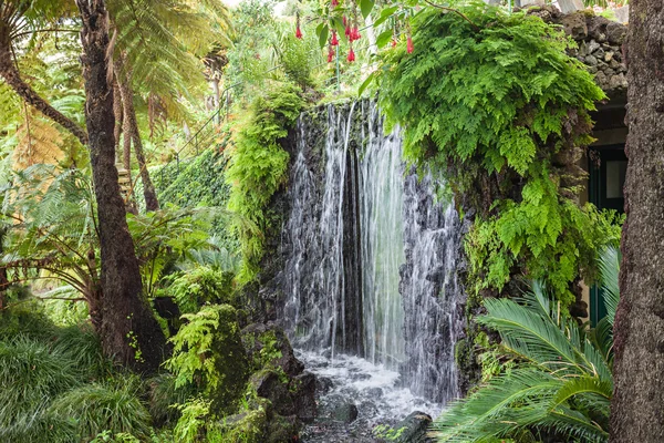 Waterfall, Madeira — Stock Photo, Image
