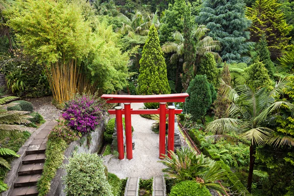 Monte Palace Tropican zahrada — Stock fotografie