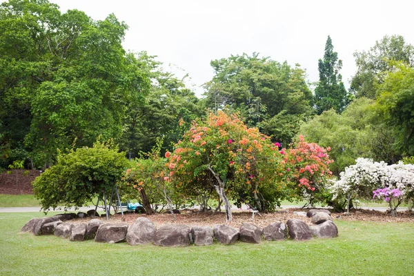 Сингапурские ботанические сады — стоковое фото
