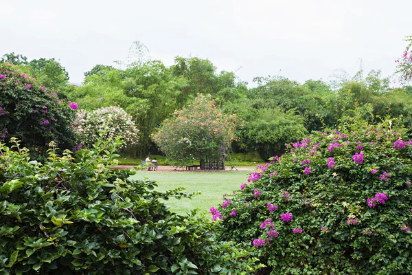 싱가포르 식물원 — 스톡 사진