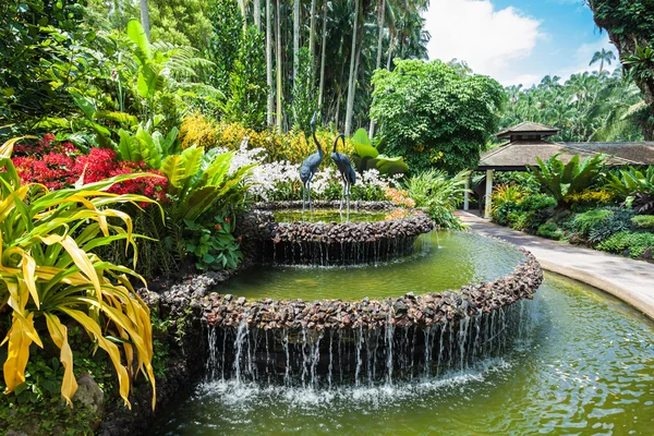 Singapore Gardens — Stock Photo, Image