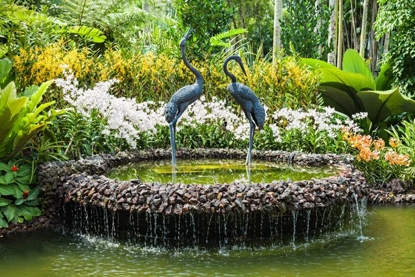 Singapore Gardens — Stock Photo, Image