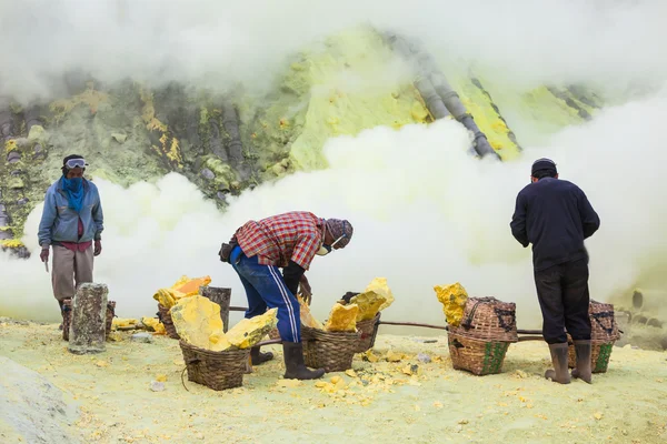 Mineros de azufre —  Fotos de Stock