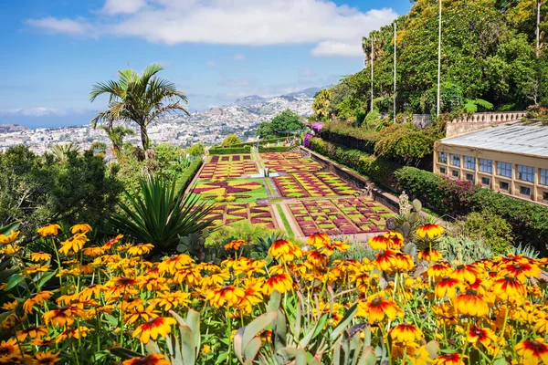 Botanical Gardens Madeira — Stock Photo, Image