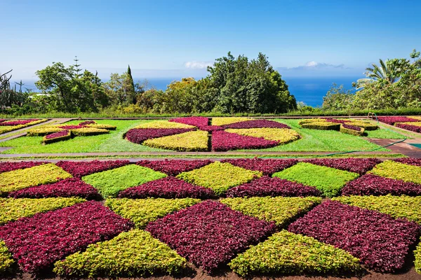 Botanická zahrada Madeira — Stock fotografie
