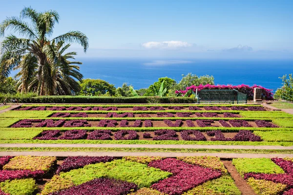 Botanical Gardens Madeira — Stock Photo, Image