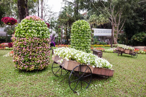 Mae fah luang giardino — Foto Stock