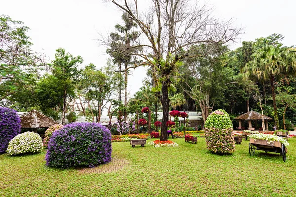 Мей Fah Луанг сад — стокове фото
