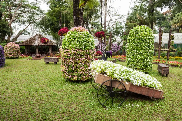 Mae fah luang jardim — Fotografia de Stock