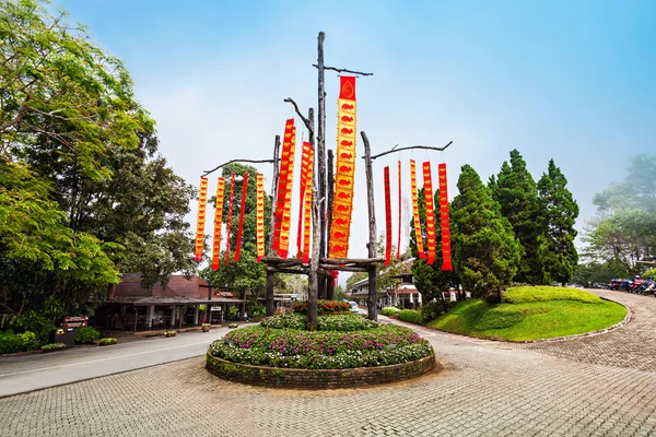 Doi Tung királyi Villa Mae Fah Luang kert — Stock Fotó