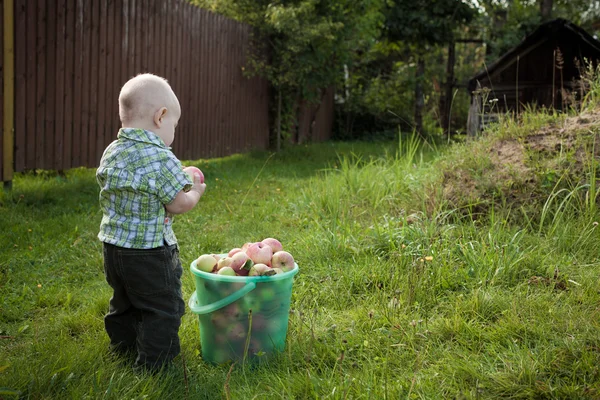 Baby van appels, buiten met een gewas — Stockfoto