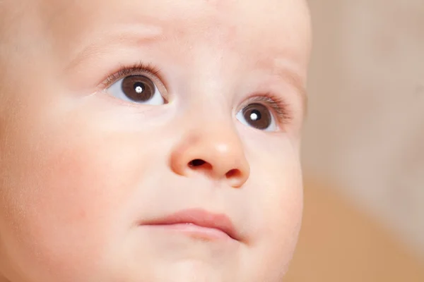 Portrait of the baby on a beige background — Stock Photo, Image