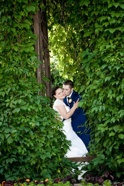 A vőlegény és a menyasszony a parkban — Stock Fotó