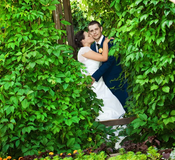 De bruidegom en de bruid in park — Stockfoto