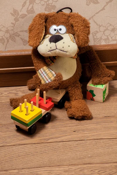 Bear sits on a floor — Stock Photo, Image