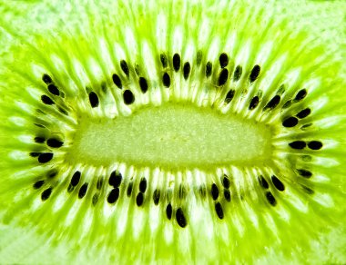 Arka plan olarak yeşil kivi makro