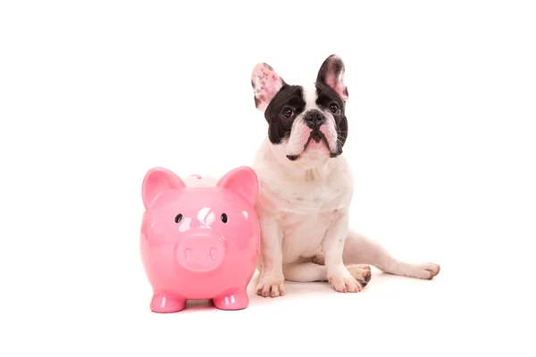 Fransız buldozer para tasarrufu