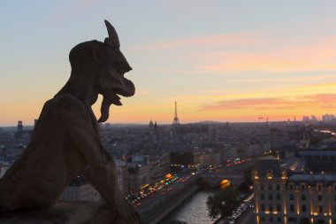 Chimera Notre Dame