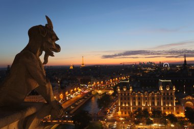 Chimera Notre Dame