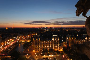 Chimera Notre Dame