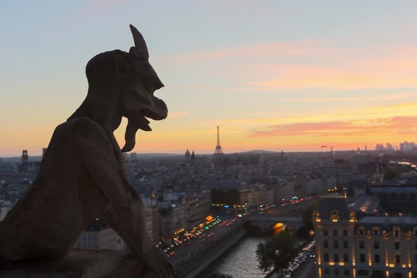 Chimera di Notre Dame — Foto Stock