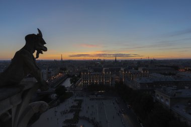 Chimera Notre Dame