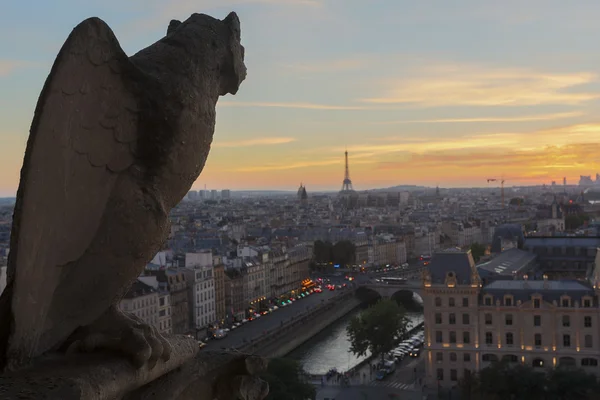 Chimera di Notre Dame — Foto Stock