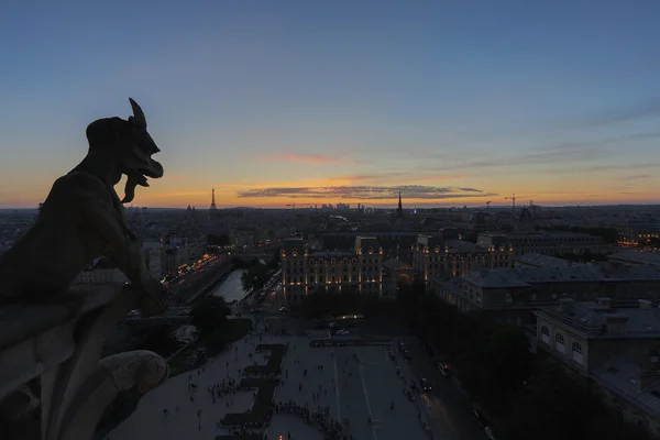 Quimera de Notre Dame —  Fotos de Stock