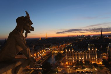 Chimera Notre Dame
