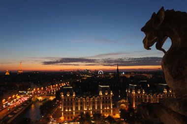 Chimera Notre Dame