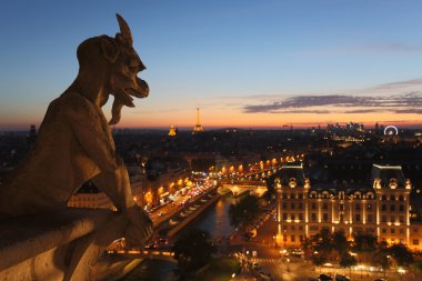 Chimera Notre Dame