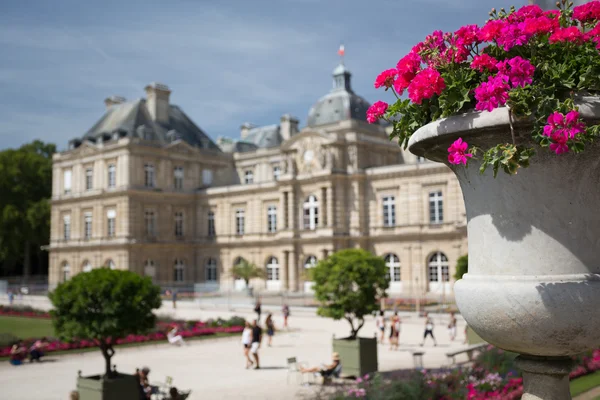 Сад Люксембургского дворца — стоковое фото