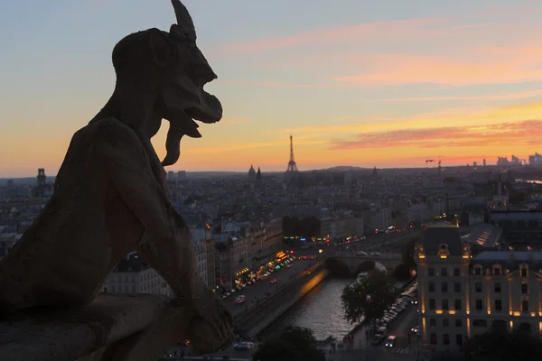 Chimera di Notre Dame — Foto Stock