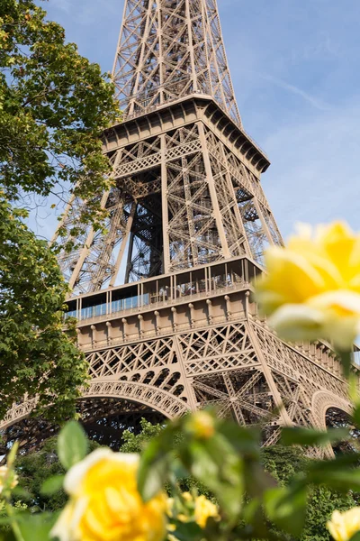 Uitzicht op Eiffeltoren Rechtenvrije Stockafbeeldingen