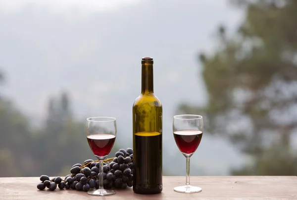 Bottiglia di vino e uva sul tavolo di legno all'aperto — Foto Stock