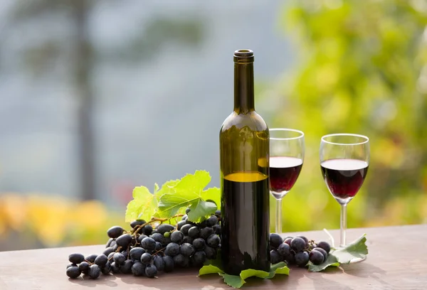 Botella de vino y uvas en mesa de madera al aire libre —  Fotos de Stock