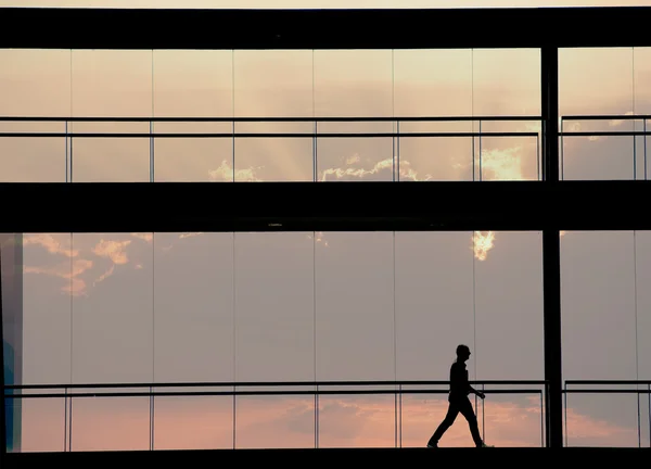 Pohled na siluetu mladých podnikatel v interiéru moderní kancelářské budovy — Stock fotografie