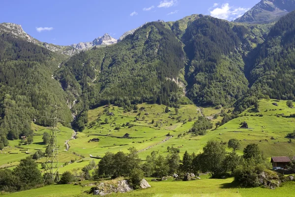 Paesaggio nelle Alpi svizzere, Canton Berna; Svizzera — Foto Stock