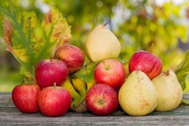 meyve bahçesinde açık ahşap tablo
