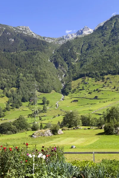 Paesaggio nelle Alpi svizzere, Canton Berna; Svizzera — Foto Stock