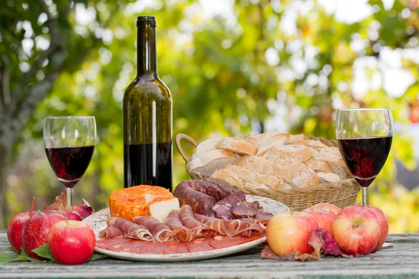 Country life setting with wine, fruits, cheese and meat. Outdoor — Stock Photo, Image