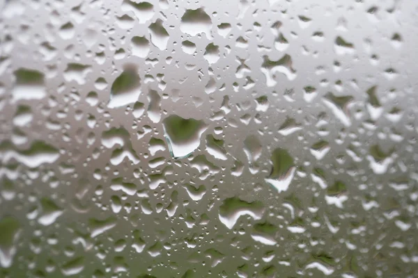Glass surface with water drops in a rainy day — Stock Photo, Image