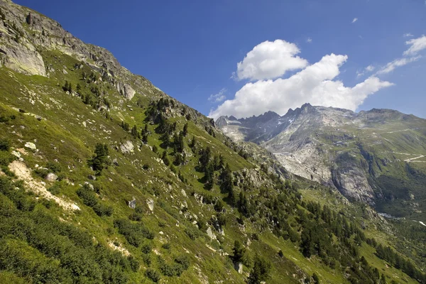 Paisagem nos Alpes Suíços, cantão de Berna; Suíça — Fotografia de Stock