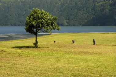 Azores sete cidades Gölü sao miguel Island, Portekiz